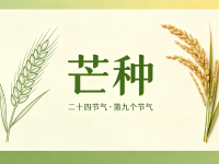 今日芒种｜暴雨+高温，安全勿松弛
